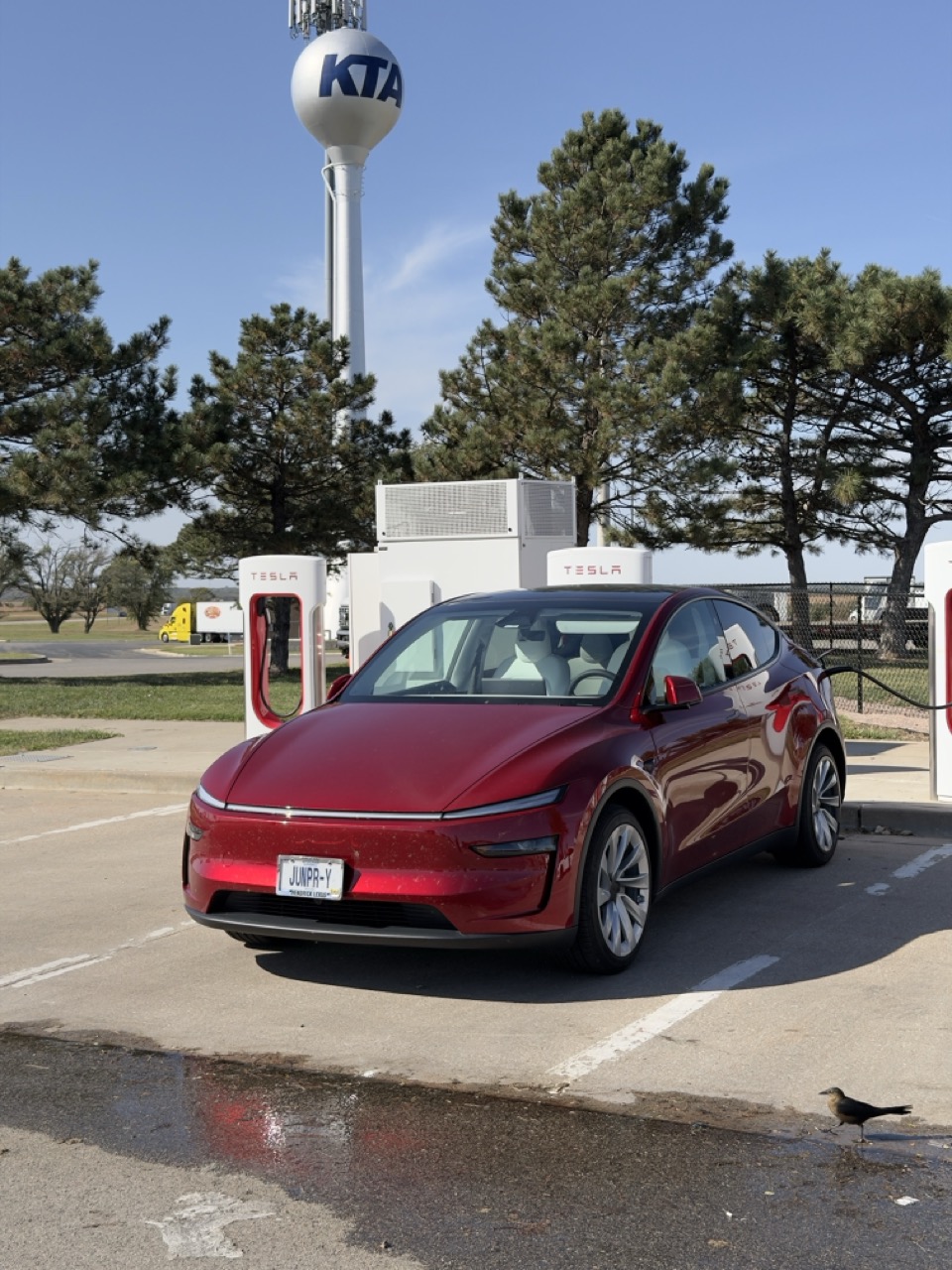 Tesla Model Y Juniper charging at a Supercharger on a road trip, JUNPR-Y plate