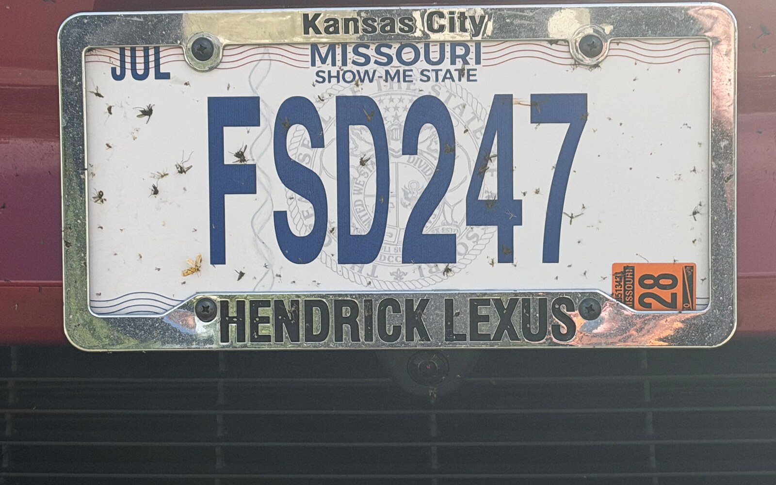 The FSD247 Missouri license plate covered in dead bugs after a long summer road trip.